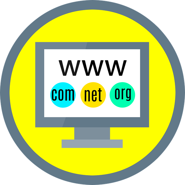 What is web hosting and why do I need it